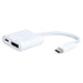 Koppa® Hub | USB 3.1 Type-C to Displayport + Type C Charging - Conversions Technology