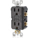 Copy of AC Outlet | 15 Amp GFCI Decorator Residential-Commercial (Black) - Conversions Technology